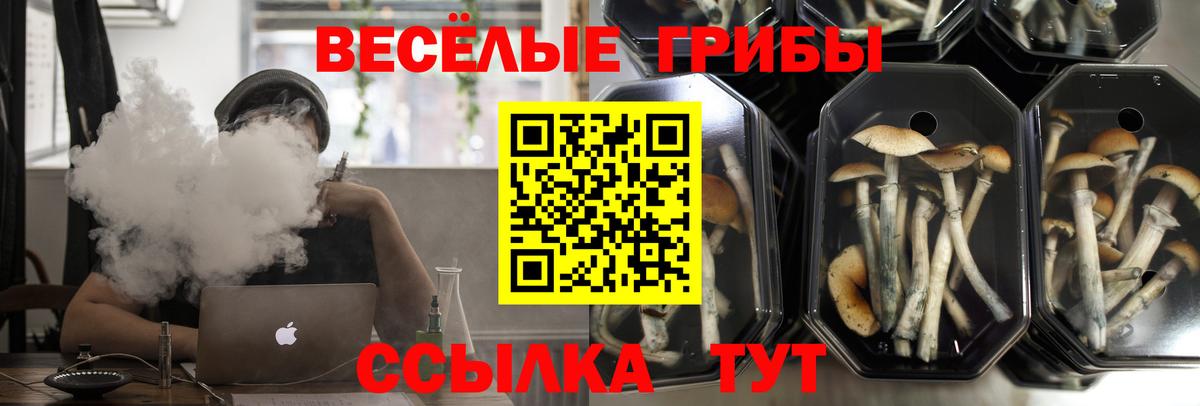 Галлюциногенные грибы GOLDEN TEACHER Карабулак